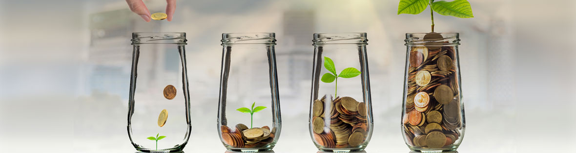 accrual basis accounting