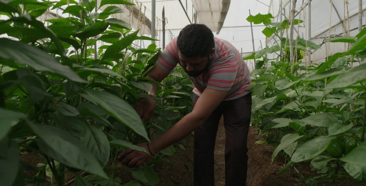 Farmpal Indian farmers