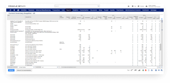 NetSuite inventory snapshot