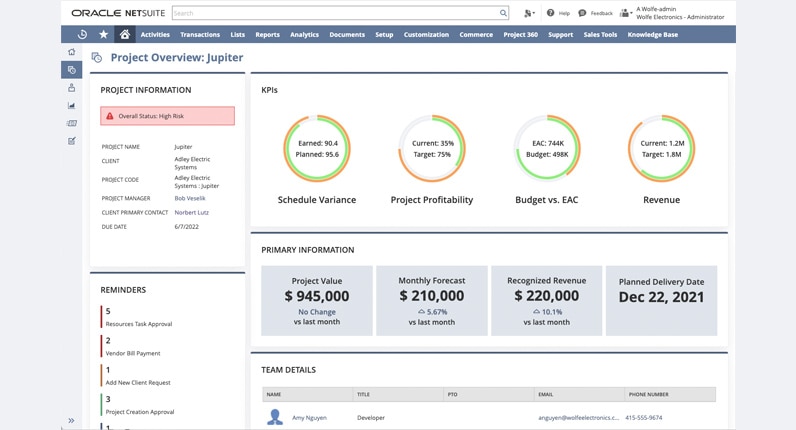 NetSuite Project 360 screenshot